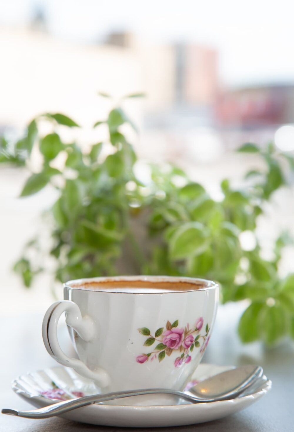 Latte ( Milk / Oat Milk )